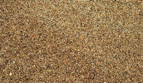 養(yǎng)花蛤需要找沙子嗎