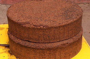 芝麻餅肥如何養(yǎng)花