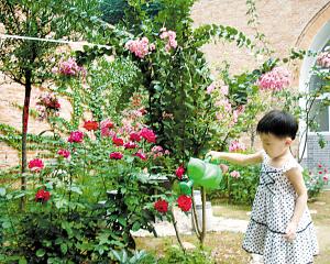 描寫?zhàn)B花有變化的句子