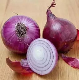 養(yǎng)花怡情養(yǎng)洋蔥宜食