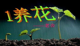 養(yǎng)花概括主要內容