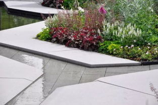 養(yǎng)花好書(shū)推薦