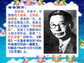 六級養(yǎng)花的教學(xué)