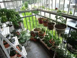 學(xué)習(xí)養(yǎng)花種草的學(xué)科