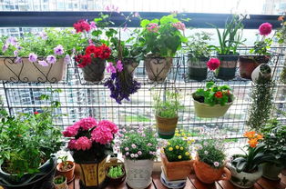 尿素在養(yǎng)花中起什么作用