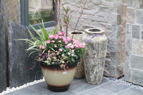 養(yǎng)花的花盆怎么搭配好看