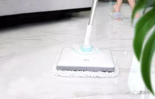 木地板上能不能養(yǎng)花