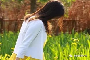 有哪些明星愛養(yǎng)花