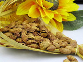 巴旦木殼能不能養(yǎng)花