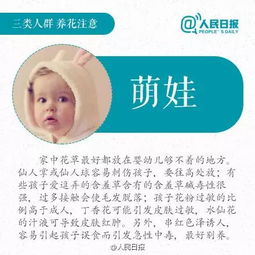 養(yǎng)花的學(xué)問(wèn)得到的啟示