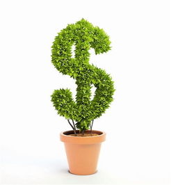 陽光頤養(yǎng)花園地址