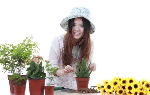 喜歡喝茶養(yǎng)花的人性格