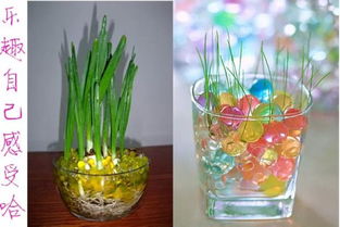 水晶泥養(yǎng)花幾