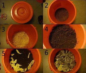 濟南去哪弄養(yǎng)花的土