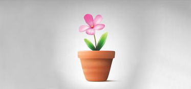 手機(jī)上能養(yǎng)花嗎