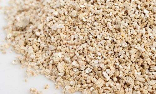 養(yǎng)花時(shí)沒(méi)有珍珠巖用什么代替