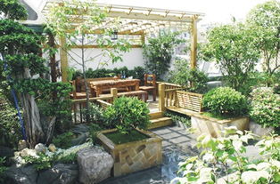 樓房樓頂讓養(yǎng)花嗎