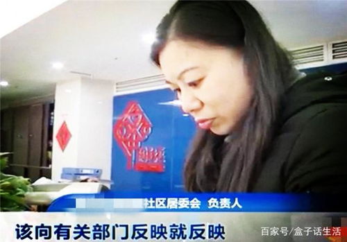 屋頂養(yǎng)花物業(yè)不允許