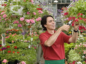 種花養(yǎng)花的專業(yè)