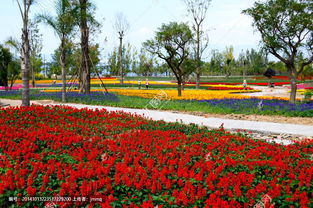 養(yǎng)花基地招聘6