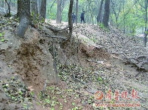 養(yǎng)花哪里取土