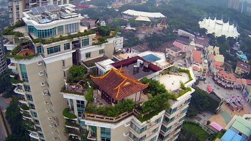 深圳高層樓房樓頂養(yǎng)花違法嗎