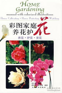 單位養(yǎng)花護花總結(jié)