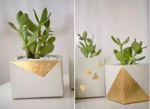 水泥花盆養(yǎng)花好不好