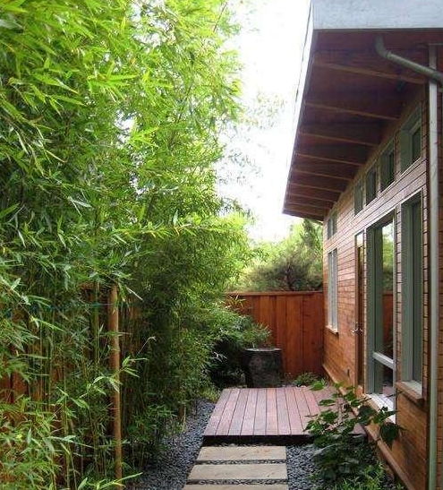 庭院養(yǎng)花及設(shè)計