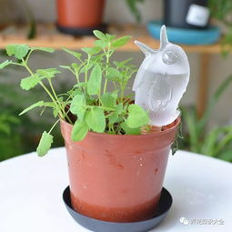 養(yǎng)花需養(yǎng)葉養(yǎng)葉需養(yǎng)根的作文