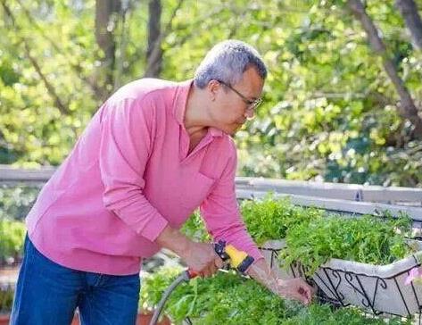 養(yǎng)花開花有什么說法