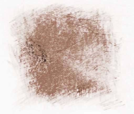 養(yǎng)花微信群名字