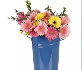 養(yǎng)花可以去甲醛嗎