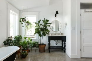 家養(yǎng)花卉植物過冬竅門