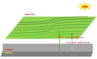 養(yǎng)花水位控制