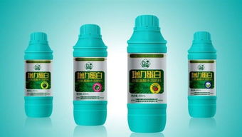 養(yǎng)花養(yǎng)菜改施復(fù)合肥