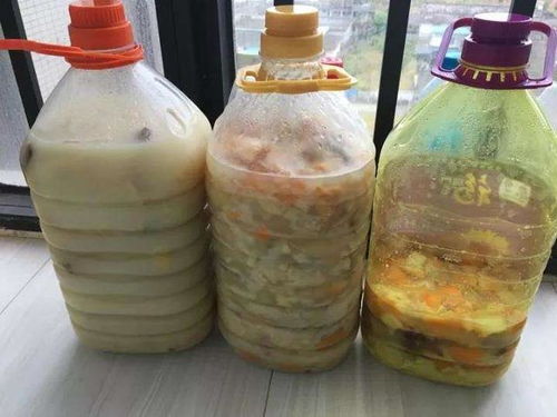 果皮灰能養(yǎng)花嗎