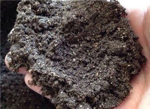 養(yǎng)花用菜油渣施肥怎么用