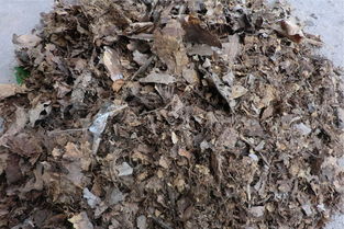 森林里的土壤養(yǎng)花可以嗎