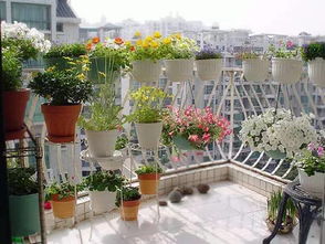 高層陽(yáng)臺(tái)養(yǎng)花會(huì)超重嗎