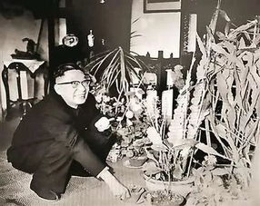 養(yǎng)花老舍翻譯