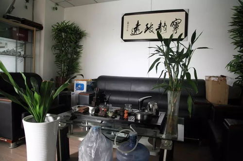 辦公室養(yǎng)花幾盆好