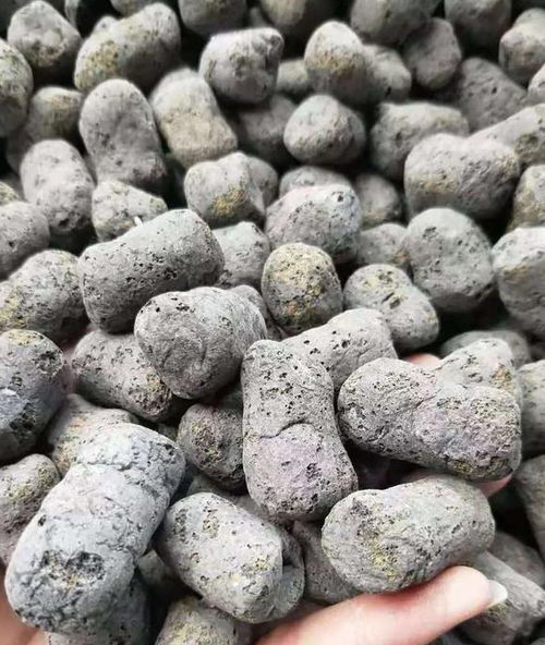 廁所用的陶?？梢责B(yǎng)花嗎