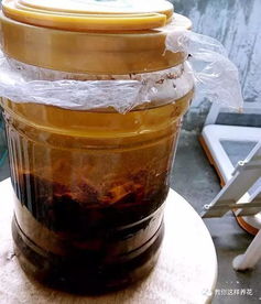 酵素養(yǎng)花好嗎