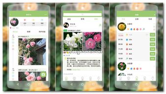 專門指導(dǎo)養(yǎng)花的平臺