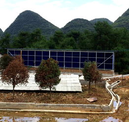 養(yǎng)花選址條件