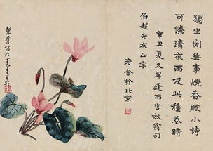 養(yǎng)花老舍文章賞析