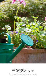 養(yǎng)花知識大全安裝