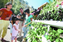 北京養(yǎng)花學(xué)校