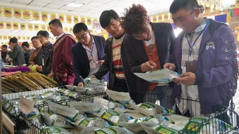 創(chuàng)業(yè)精神,創(chuàng)新,孵化園